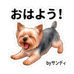 Sandy Daily Stickers Vol.1