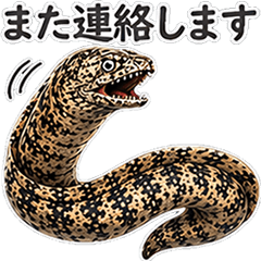 honorific Realistic moray eel