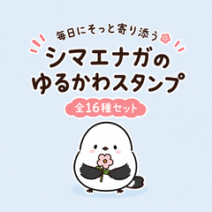 Fluffy Little Shimaenaga