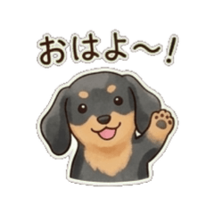 Dachshund- Daily Chat Stickers