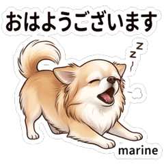 Marin Original Stickers Vol.1