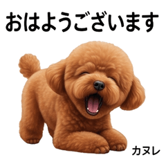 I Am Canele Vol.1