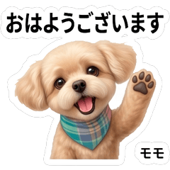 Momo Daily Stickers Vol.1