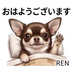 Ren Chihuahua Stickers Vol.1