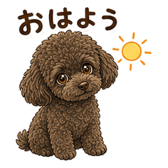 Fluffy monmon Poodle Everyday
