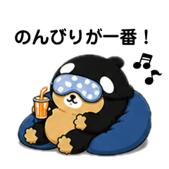 Shachikkuma Studio_20260505203633