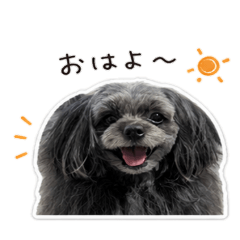 Rika_20260505204815
