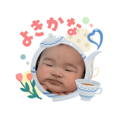pon_20260505205347