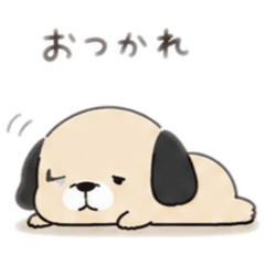 dog2506