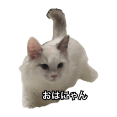 saya_20260505205615