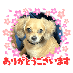 haruka_20260505205313