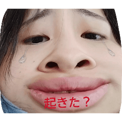 ii_20260505205043