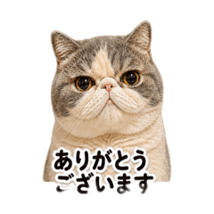 mugitan_20260505205729
