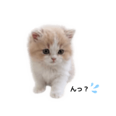 myu_20260505204957