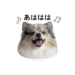 hoge_20260505214604