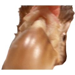 Chicken is MANUKE