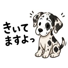 kinokonn_20260505205427