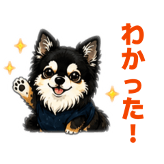 Mr.K_20260505203403