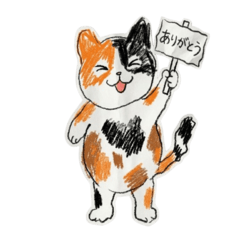 Thin  Cat