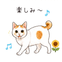 Kagishippo Calico Cat Stickers Vol.3