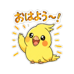 Cockatiel! Everyday Useful One-Phrase