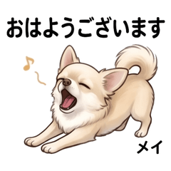 Mei Chihuahua Stickers Vol.1