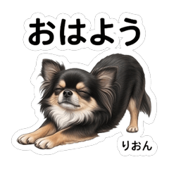 Rion Daily Stickers Vol.1