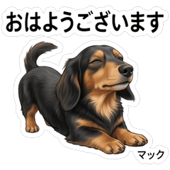 Mack Daily Stickers Vol.1