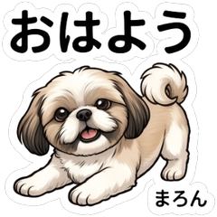 Maron Daily Stickers Vol.1