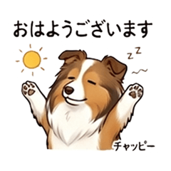 Chappy Original Stickers Vol.1