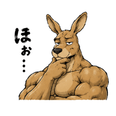 強い！マッチョカンガルー兄さん。