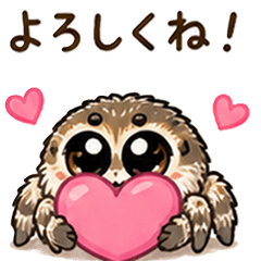Cute Jumping Spider Stickers