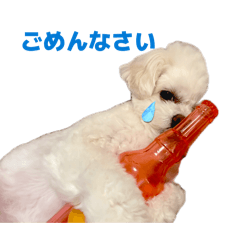 narumiii_20260505221020