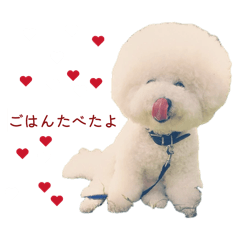 bit.coton_20260505204420