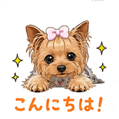 Cute Yorkshire Terrier Daily Stickers 01