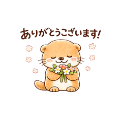 Soft & Polite Otter