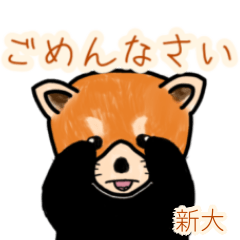 Shindai's lesser panda (2)