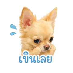Rin.SomO_20260428143752