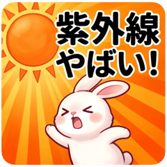 UV Alert! White Rabbit