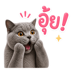 Ahamm Blue Cat Daily Life's