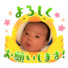 pyon_20260505121649