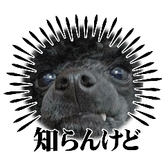 ssna_20260505121445