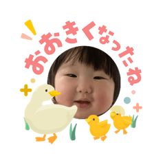 K_20260505121930