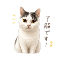 Ryu_20260505122118