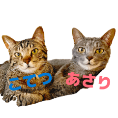 Takenoko_20260505122726