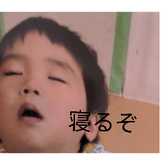 sei_20260505143525