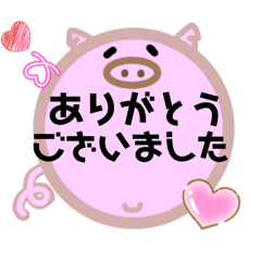 AMi_20260505143656