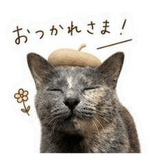 nuko_20260505143504