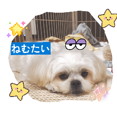 kanta_20260505122907