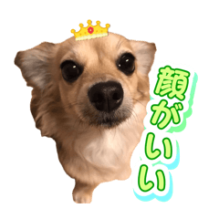 meimei_20260505144807